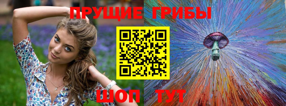 Одинцово  Псилоцибиновые грибы Cubensis  Вход с VPN 